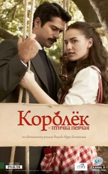 Королёк – птичка певчая смотреть онлайн